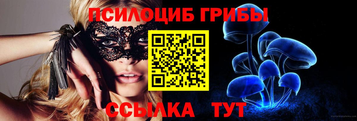 Галлюциногенные грибы прущие грибы Алушта
